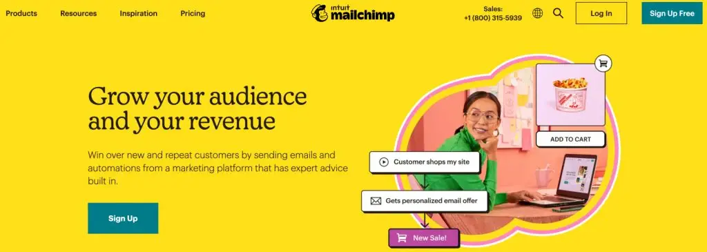 Maililchimp-Startseite