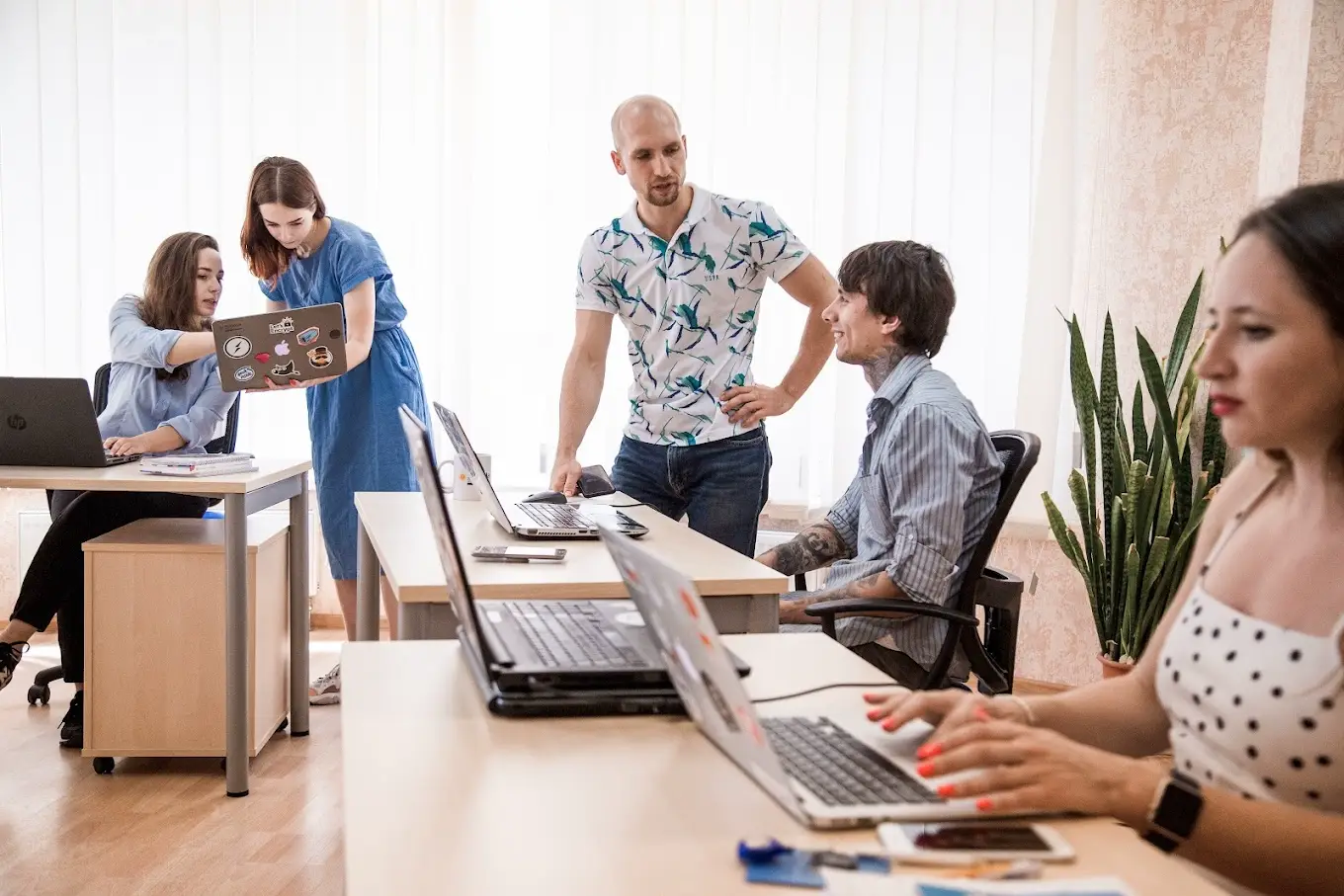 python development team slobodda